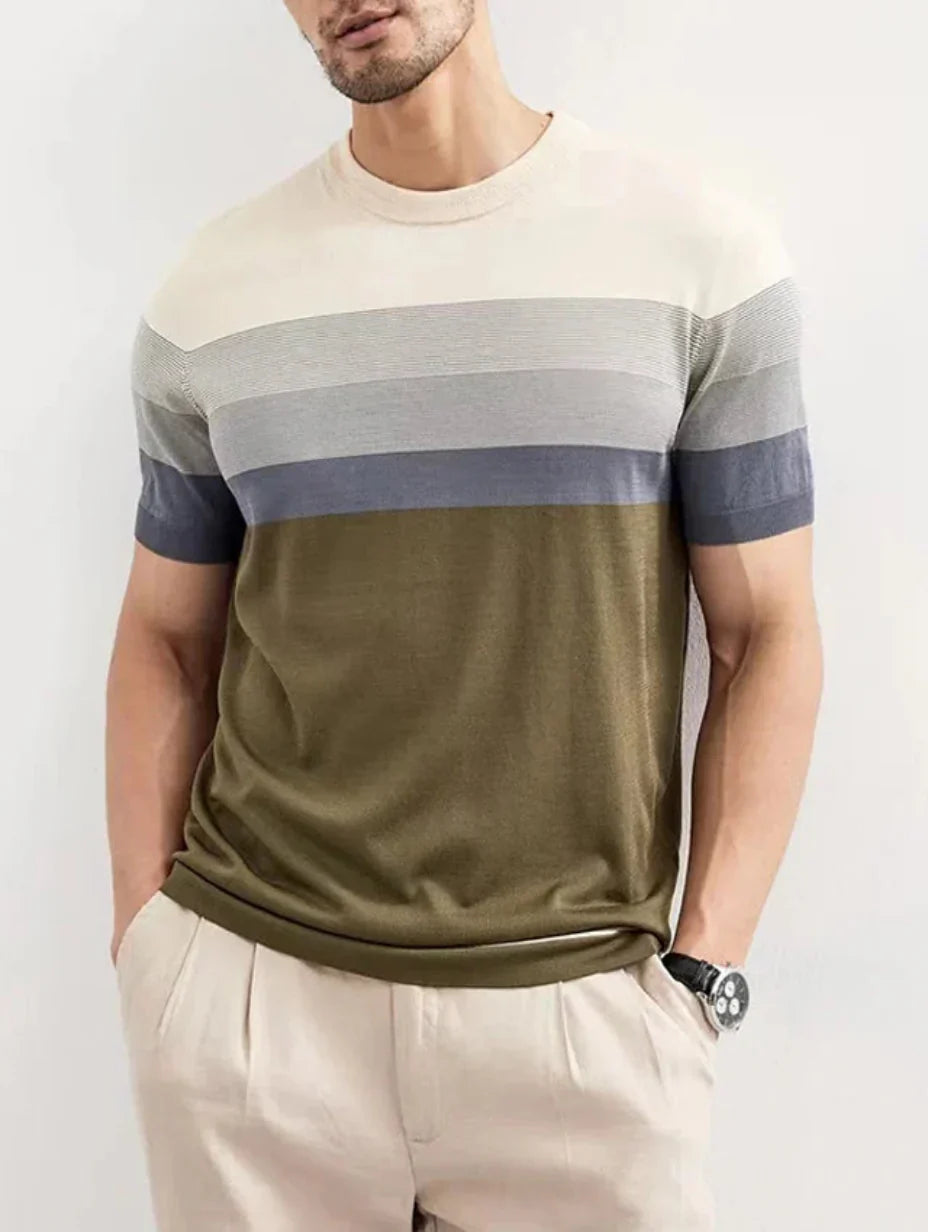 Herr T-shirt Randig Stickad Kort Ärmlängd Regular Fit